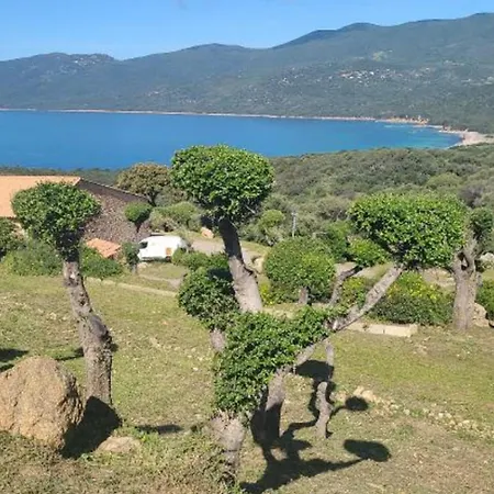 Apartmán Alba Rossa - Mini - 4 Personnes - Piscine Collective Serra-di-Ferro (Corsica)